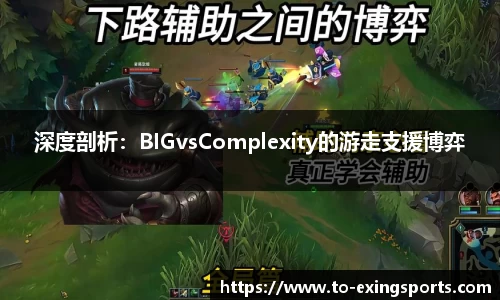 深度剖析：BIGvsComplexity的游走支援博弈