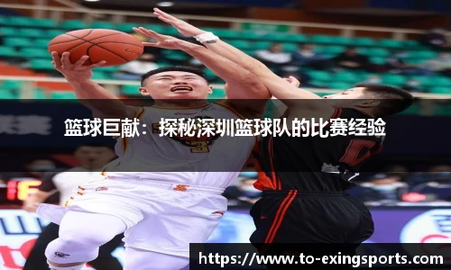 篮球巨献：探秘深圳篮球队的比赛经验